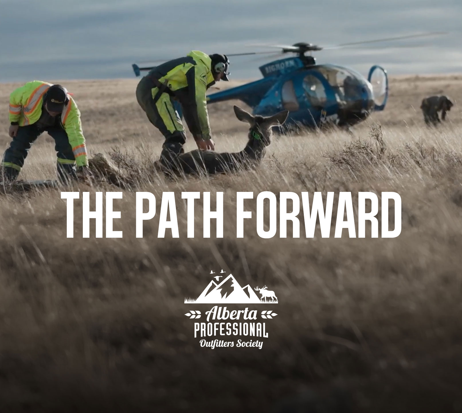 Video Thumbnail for The Path Forward